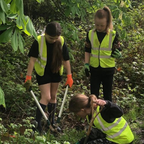 NZON2124.JPG
